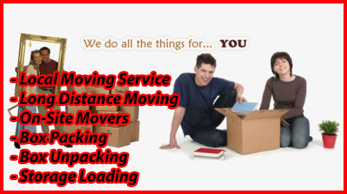 Packers And Movers Noida Sector 146